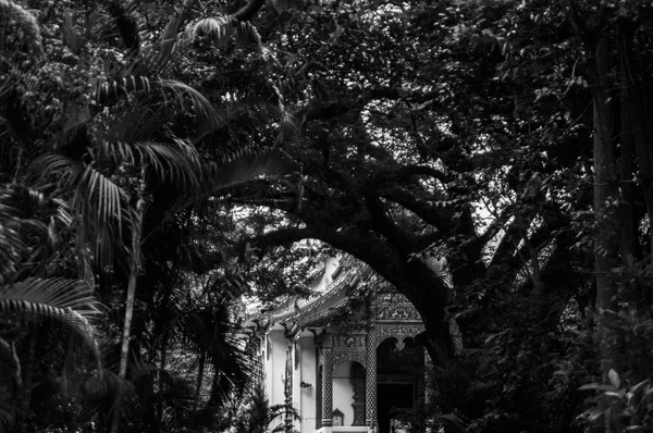 黒と白の写真 歴史的観光名所 史跡タイ チェンマイ州の史跡はバンコクで 番目に大きい — ストック写真