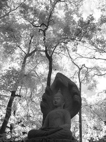 Инфракрасная фотография изобразительного искусства: Исторические достопримечательности и исторические достопримечательности Таиланда
