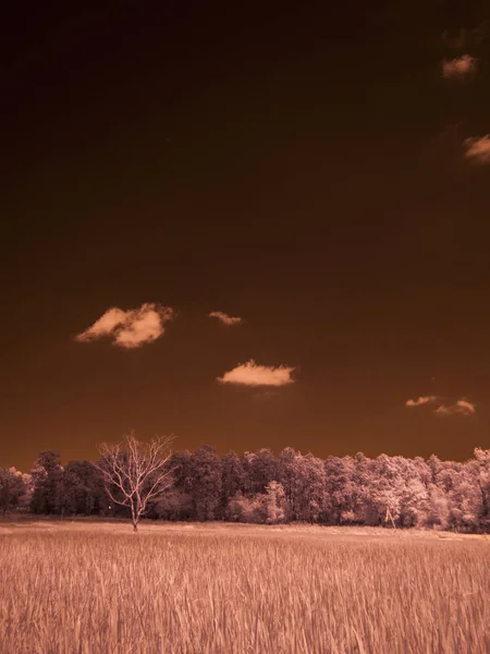 infrared fine art photography landscape : surreal infrared art photography