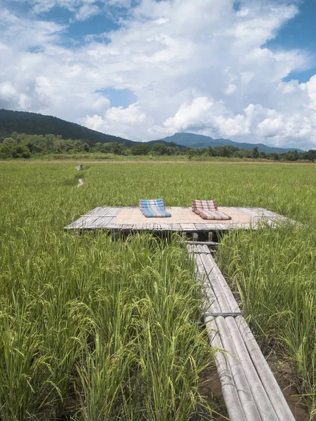 Krajobraz Fotografia Krajobrazy Ryżu Pola Rolników Azji Styl Życia — Zdjęcie stockowe