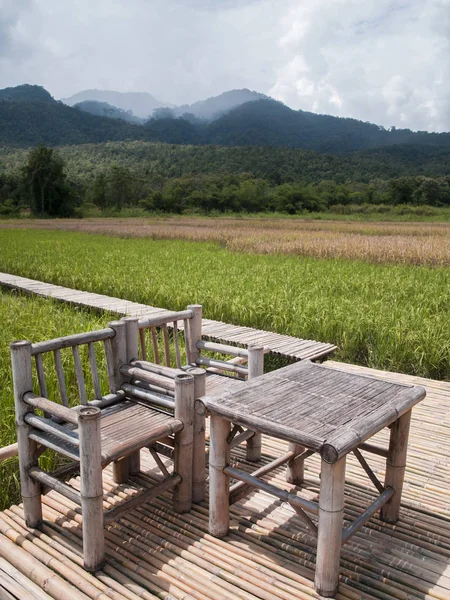 Landschaftsfotografie Landschaften Von Reisfeldern Asien Und Lifestylebauern — Stockfoto