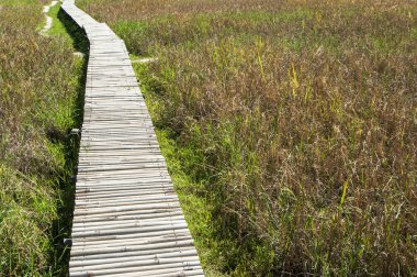 manzara fotoğrafçılığı: manzara pirinç çiftçiler Asya ve yaşam alanları