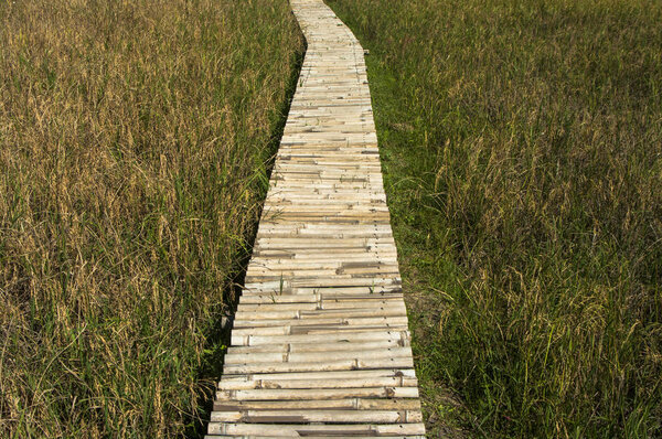 landscape  photography : Landscapes of rice fields Asia and lifestyle farmers