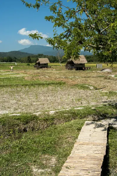 Krajobraz Fotografia Krajobrazy Ryżu Pola Rolników Azji Styl Życia — Zdjęcie stockowe