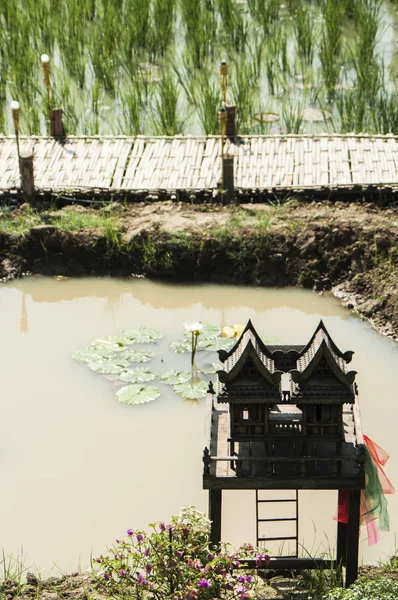 Пейзажної Зйомки Пейзажі Рисові Поля Азії Способу Життя Фермерів — стокове фото