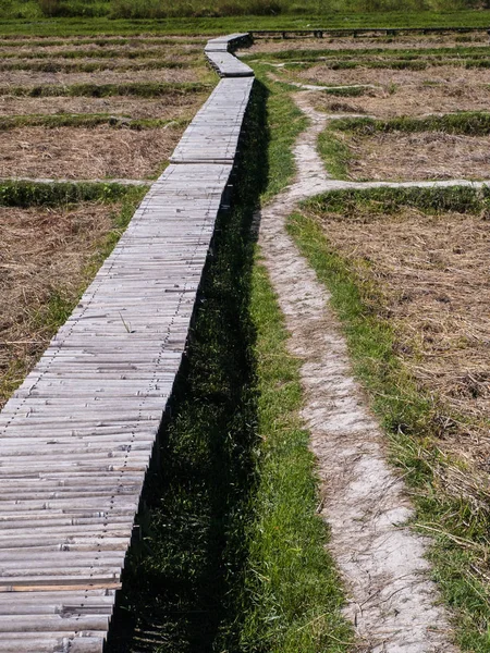 Bamboo Walkway Walkway Built Bamboo Passages Rice Paddies — Stock Photo, Image