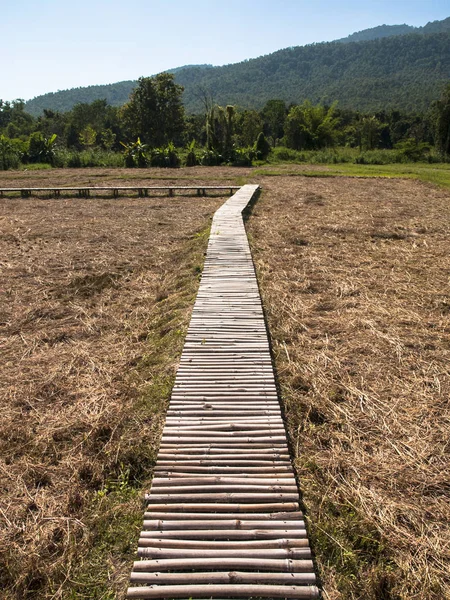 Bambus Chodnik Chodnik Zbudowany Bambusa Przejazdów Polach Ryżowych — Zdjęcie stockowe