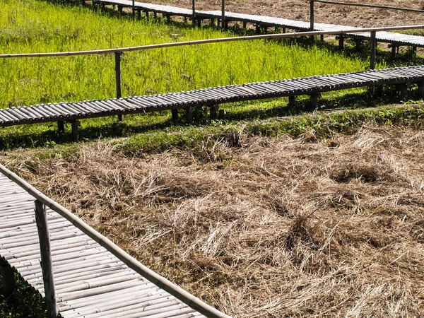 Bamboo Walkway Walkway Built Bamboo Passages Rice Paddies — Stock Photo, Image