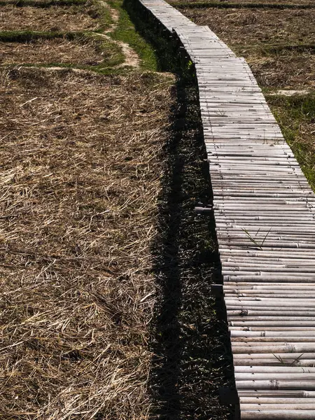 Bamboo Walkway Walkway Built Bamboo Passages Rice Paddies — Stock Photo, Image