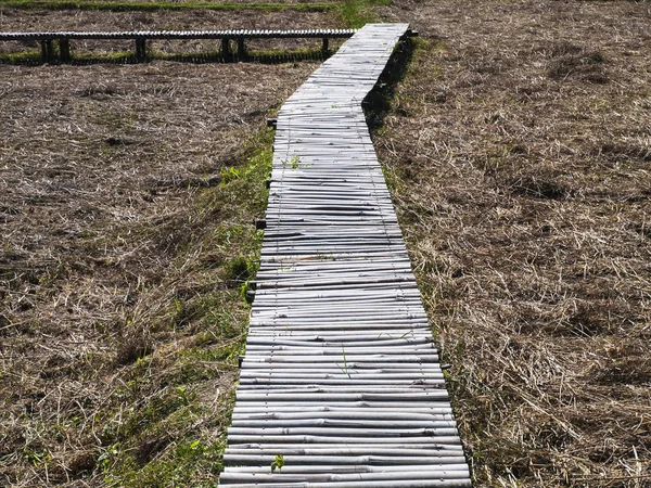 Bamboo Walkway Walkway Built Bamboo Passages Rice Paddies — Stock Photo, Image