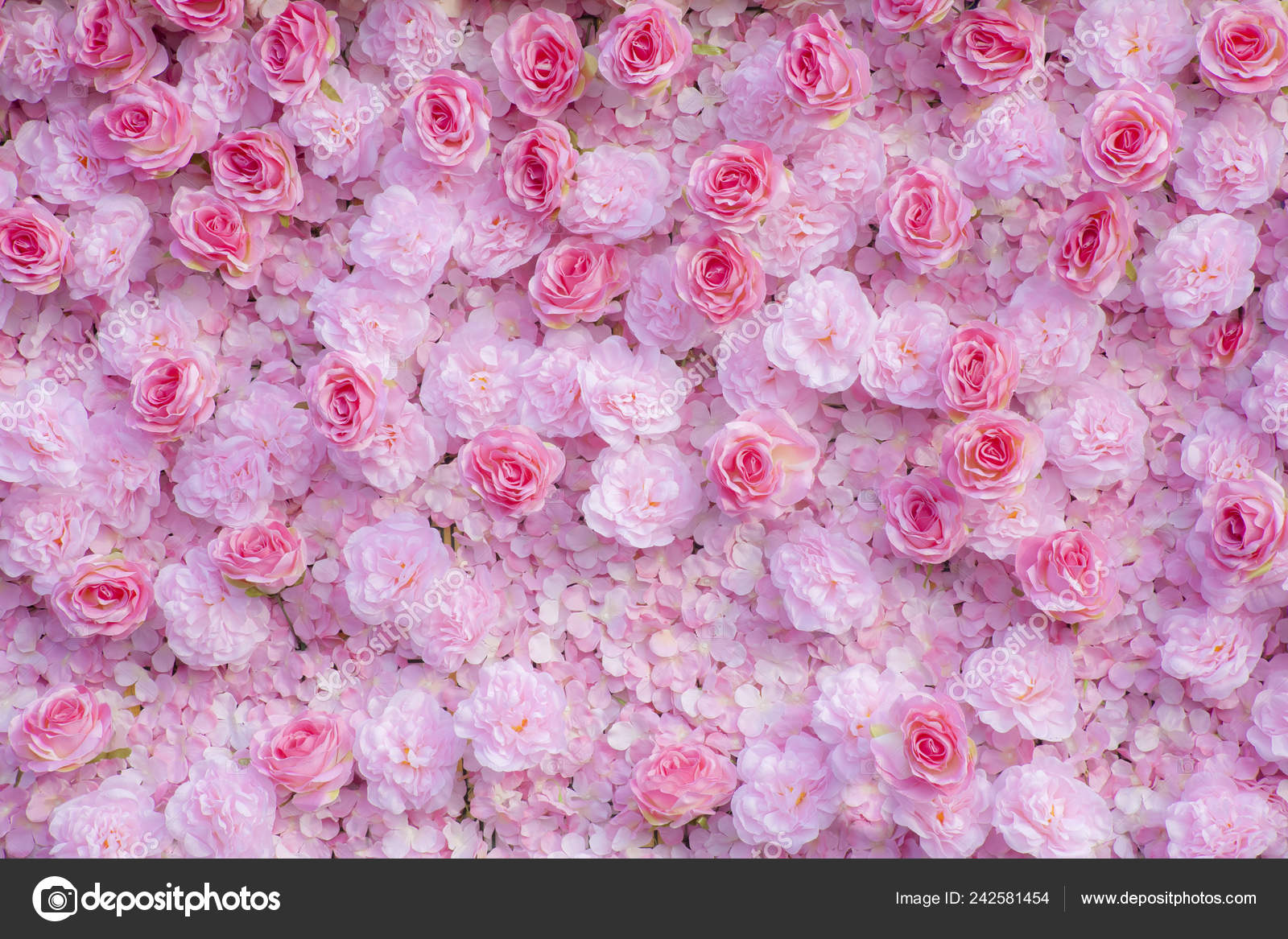 Background Pink Roses Wallpaper