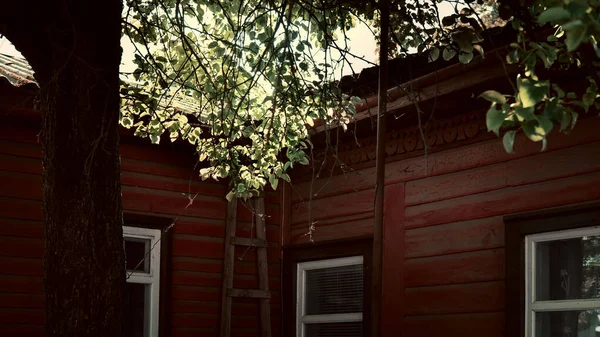 Pencereler ve yumuşak güneş ışığıyla aydınlatılan ağaç dallarıyla çerçevelenmiş, kırmızı ahşap bir evin duvarına dayanan ahşap bir merdiven görüntüsü..