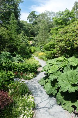 Swansea, Güney Galler 'de bir halk parkı olan Clyne Bahçeleri' nden geçen bir patika.