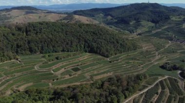Kaiserstuhl tepesindeki yapay terasların üzerinde üzüm bağlarıyla İHA uçuşu. Yukarı Ren Vadisi Almanya