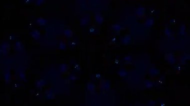 Kusursuz VJ Model Arkaplanı