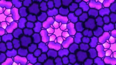 Kusursuz VJ Model Arkaplanı