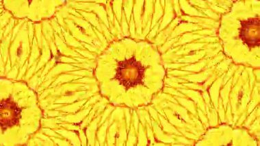 Kusursuz VJ Model Arkaplanı