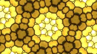 Kusursuz VJ Model Arkaplanı