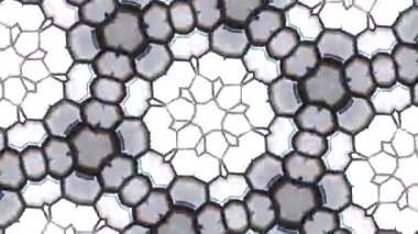 Kusursuz VJ Model Arkaplanı