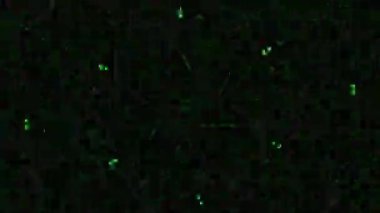 Kusursuz VJ Model Arkaplanı