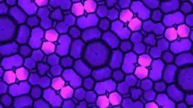 Kusursuz VJ Model Arkaplanı