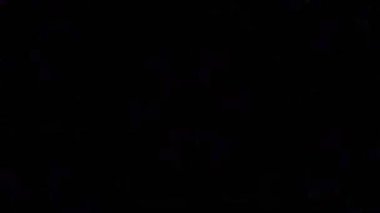 Kusursuz VJ Model Arkaplanı