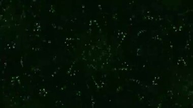 Kusursuz VJ Model Arkaplanı