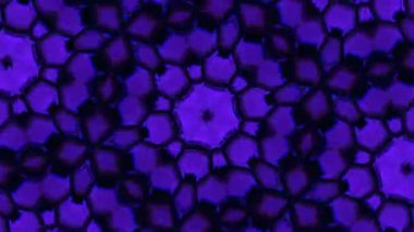 Kusursuz VJ Model Arkaplanı