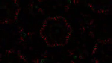 Kusursuz VJ Model Arkaplanı