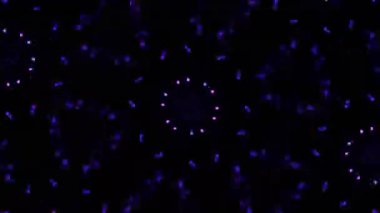 Kusursuz VJ Model Arkaplanı