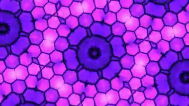 Kusursuz VJ Model Arkaplanı