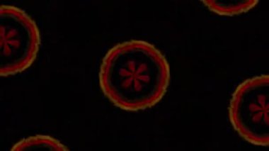 Kusursuz VJ Model Arkaplanı