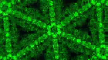 Kusursuz VJ Model Arkaplanı