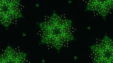 Kusursuz VJ Model Arkaplanı