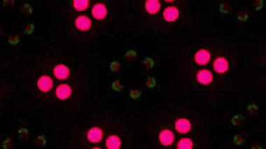 Kusursuz VJ Model Arkaplanı