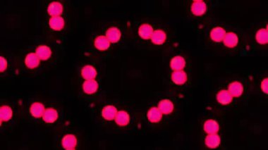 Kusursuz VJ Model Arkaplanı