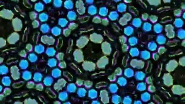 Kusursuz VJ Model Arkaplanı