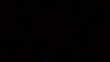 Kusursuz VJ Model Arkaplanı