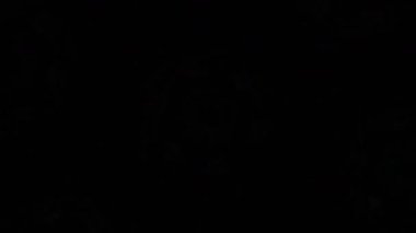 Kusursuz VJ Model Arkaplanı