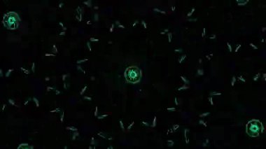 Kusursuz VJ Model Arkaplanı