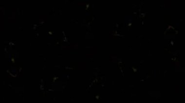 Kusursuz VJ Model Arkaplanı