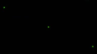 Kusursuz VJ Model Arkaplanı