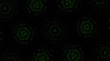 Kusursuz VJ Model Arkaplanı