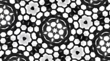 Kusursuz VJ Model Arkaplanı