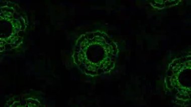 Kusursuz VJ Model Arkaplanı