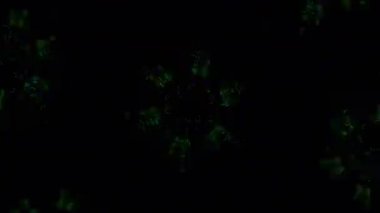 Kusursuz VJ Model Arkaplanı