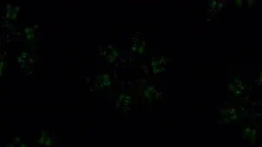 Kusursuz VJ Model Arkaplanı