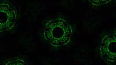 Kusursuz VJ Model Arkaplanı