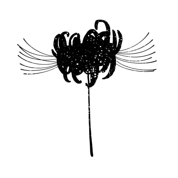 106 Spider Lily Vector Images Free Royalty Free Spider Lily Vectors Depositphotos