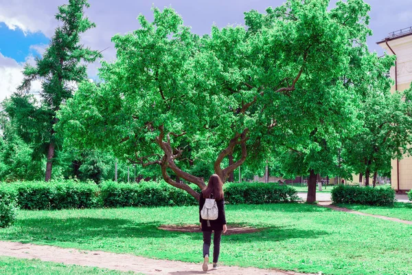 Девушка Черной Одежде Легкий Рюкзак Спине Идет Большому Зеленому Дереву — стоковое фото